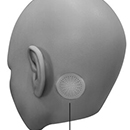 AI Head Function (Free)