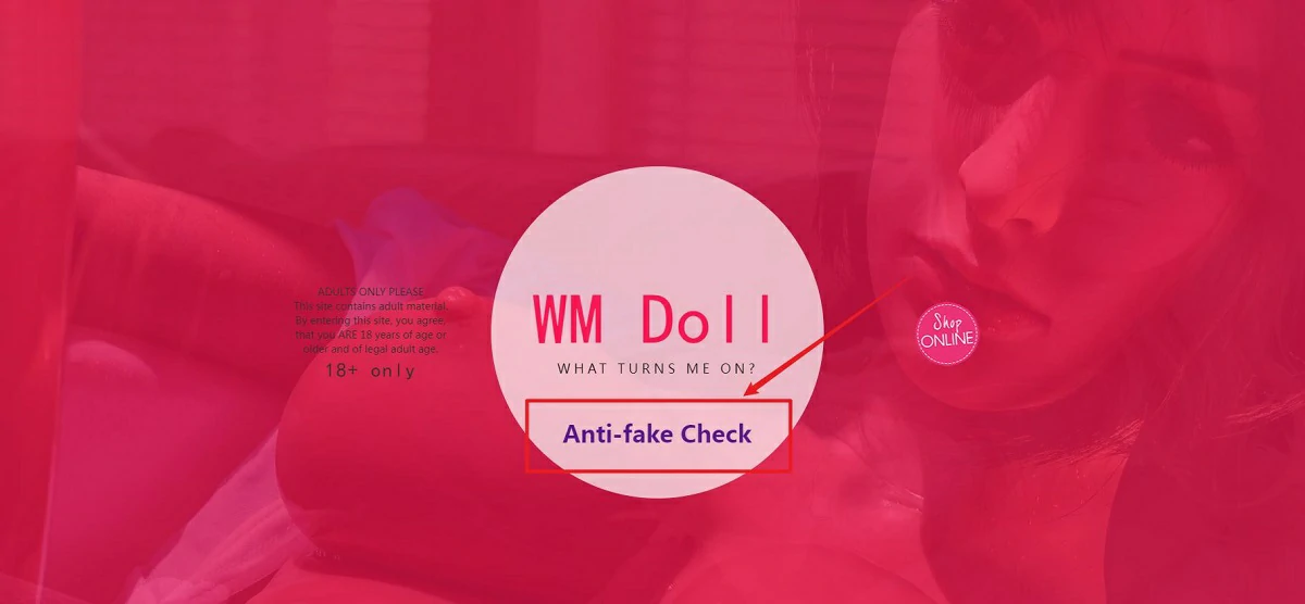 WM anti-counterfeiting verification