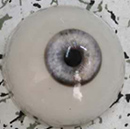 #2 eyes