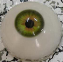 #5 eyes