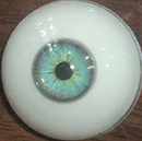#6 eyes