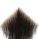 None pubic-hair-03