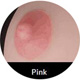 Pink Areola