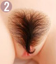 pubic hair yes