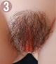 pubic hair yes
