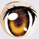 #13 eyes
