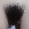 Hairy pubic hair