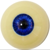 #5 eyes