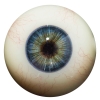 #6 eyes