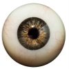 #8 eyes