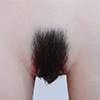 little hairy pubic hair
