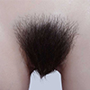 Hairy pubic hair