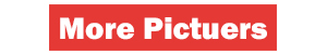 sex doll pictures