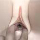 Built-In Vagina