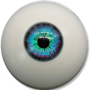1 eyes