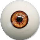 5 eyes