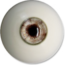 6 eyes