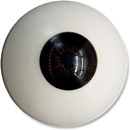 7 eyes