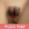 Yes pubic hair