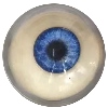 Brown eyes