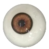 5 eyes
