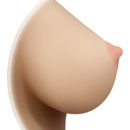 Solid Breast