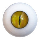 #7 eyes