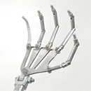 Hand Skeleton