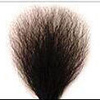 Pubic-Hair
