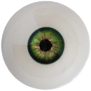 Green eyes