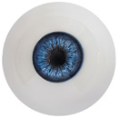 #5 eyes