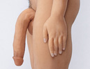 Not Erect penis type
