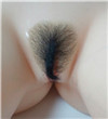 #1 Pubic-Hair