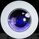 #5 eyes