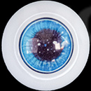 #9 eyes