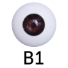 B1