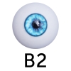 B2