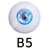 B5