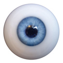 #5 eyes