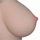 Solid Breast Options