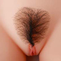Pubic-Hair