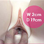 Built-In Vagina