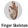 Hand Skeleton