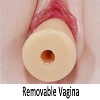 Removable Vagina