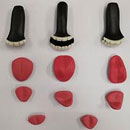 Normal Teeth&Tongue Set