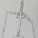 Enhanced Skeleton