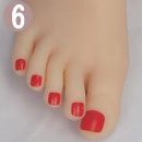 #6 Toenail