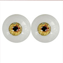 #1 eyes