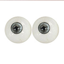 #5 eyes