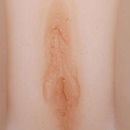 Light Brown Labia Color